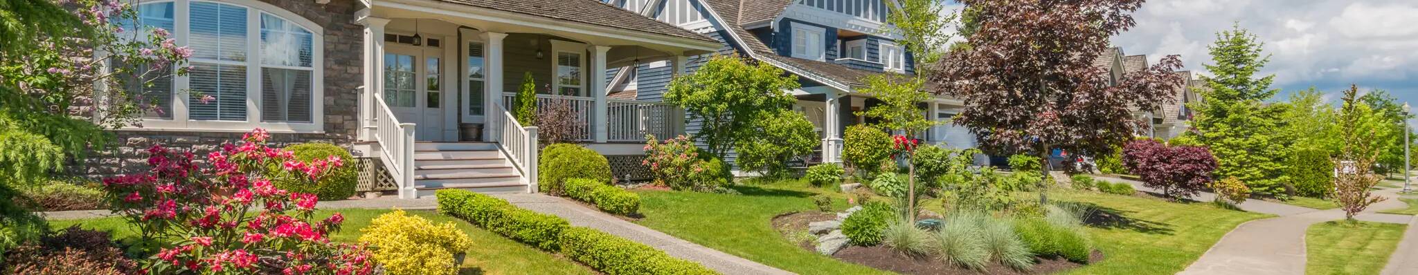 Lawn Care Essentials