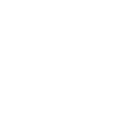 Pro Solutions Icons 03