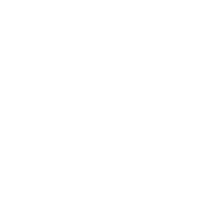 Pro Solutions Icons 04