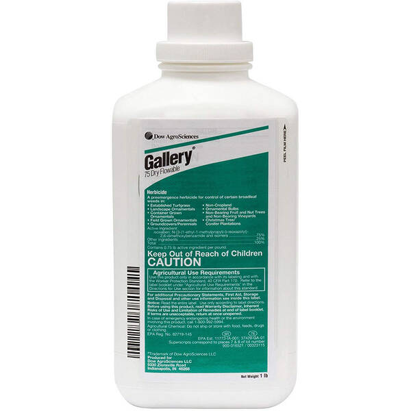 10001066 Gallery 75 Df 1 Lb