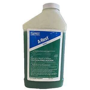 A Rest Quart