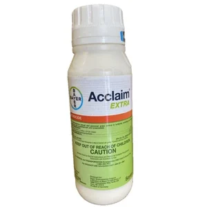 Acclaim