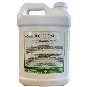 Ace 29