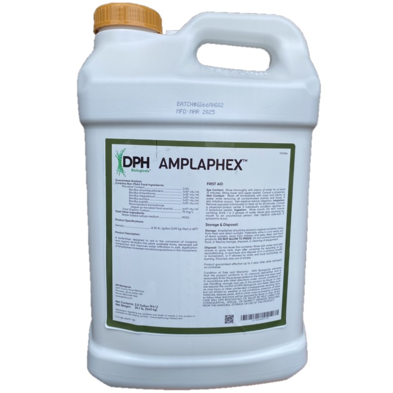 Amplaphex