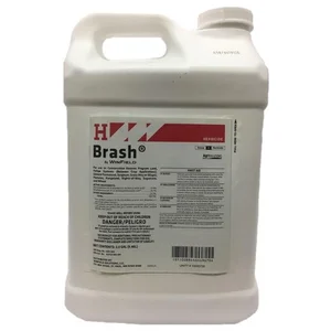 Brash