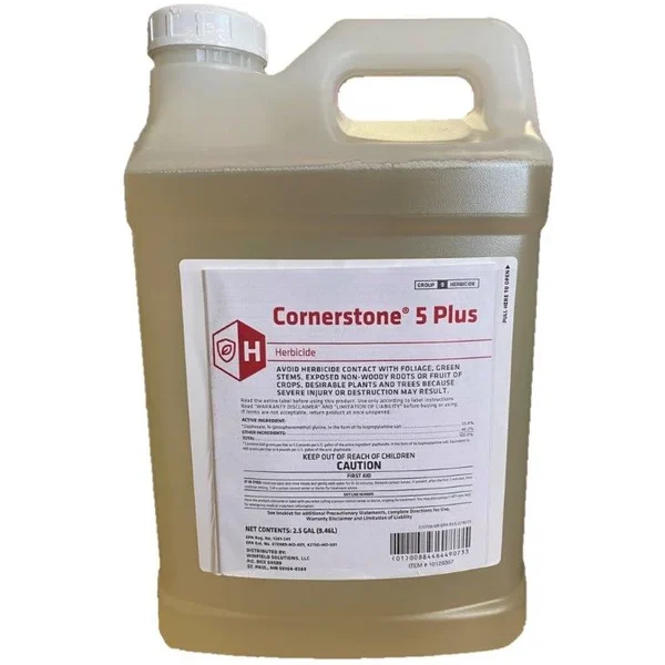 Cornerstone 5 Plus