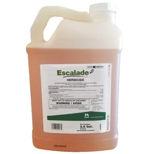 Escalade 2