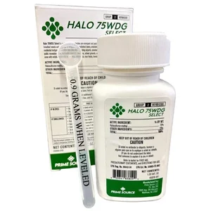 Halo 75wdg