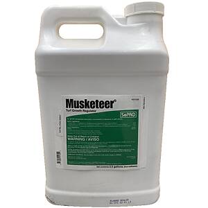Musketeer