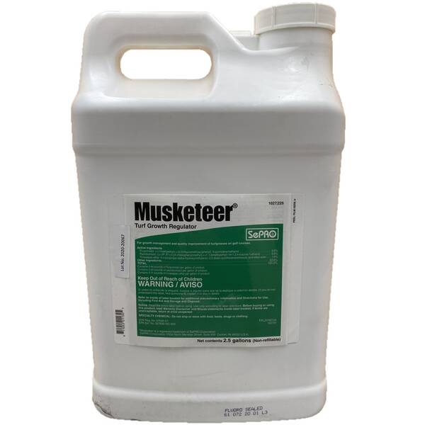 Musketeer