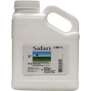 Safari 20sg
