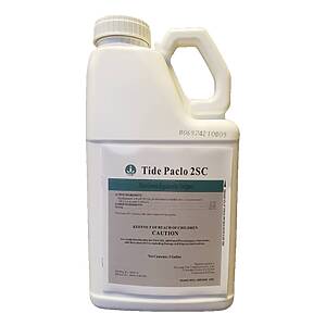 Tide Paclo 2sc 1 Gallon