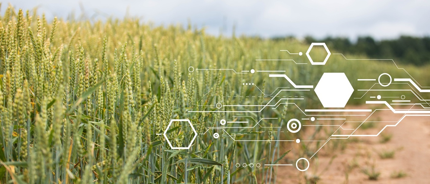 Concept Of Smart Agriculture And Modern Technology